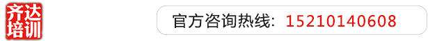 操逼视频免费看软件齐达艺考文化课-艺术生文化课,艺术类文化课,艺考生文化课logo